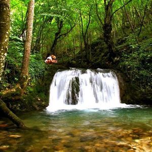 Meet your Posher, Al